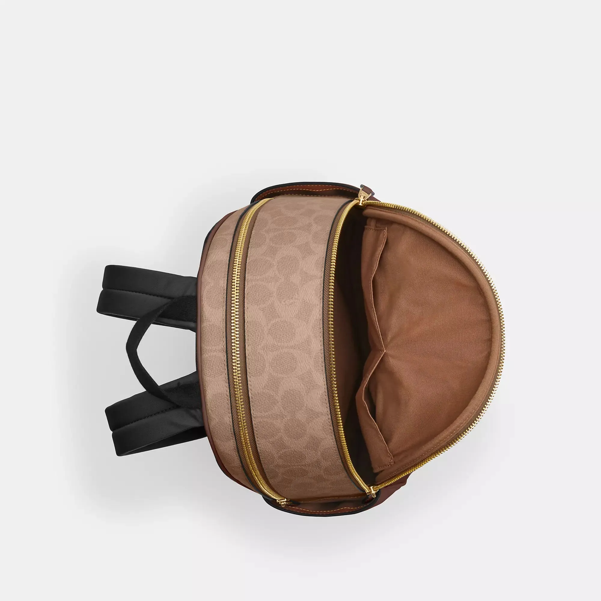 Coach Outlet Court Backpack In Signature Canvas